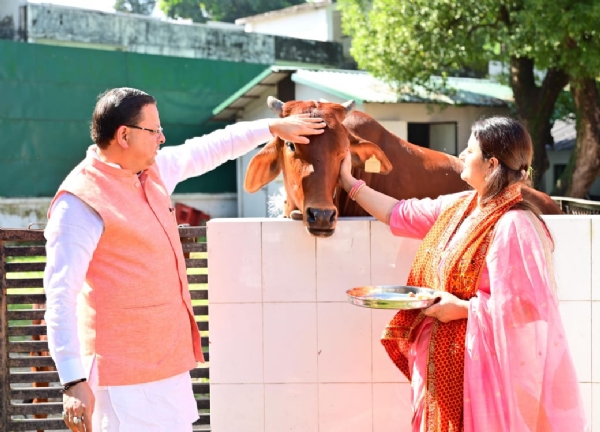 गाय माता का पूजन करते मुख्यमंत्री पुष्कर सिंह धामी।