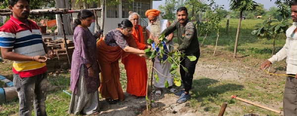 दुर्लभ कृष्णवड