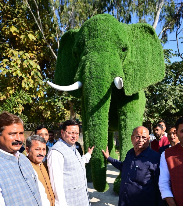 हल्द्वानी सिटी फॉरेस्ट में मुख्यमंत्री पुष्कर सिंह धामी।