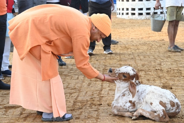 *जनता दर्शन में मुख्यमंत्री ने सुनीं 150 लोगों की समस्याएं*