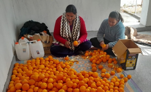 घर पर ही उद्योग लगाकर आर्थिकी मजबूत करती महिलाऐं। 