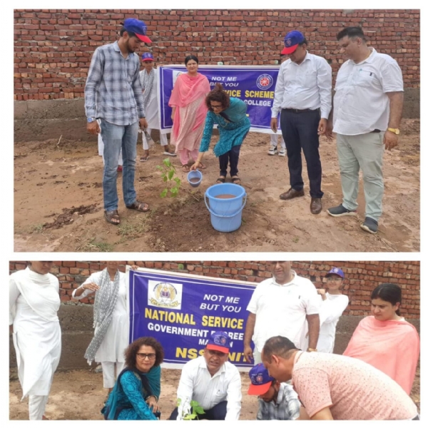 GDC Marheen carried out plantation drive