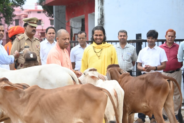 गोवंश को दुलारकर गुड़ और केला खिलाया गोरक्षपीठाधीश्वर ने*