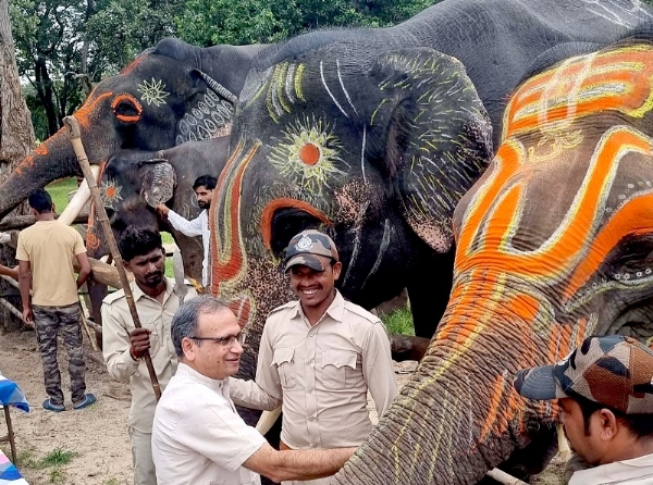 मप्रः बांधवगढ टाइगर रिजर्व में हाथी महोत्सव शुरू, सात दिवस चलेगी हाथियों की पिकनिक