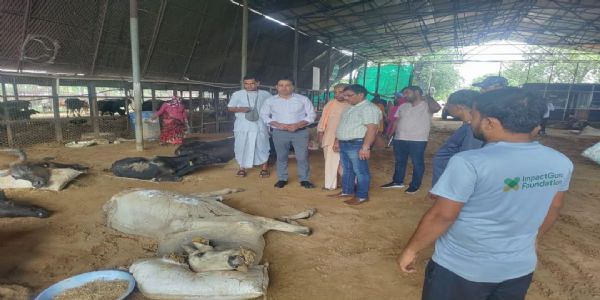 कलेक्टर ने हिंगोनिया गौशाला में व्यवस्था सुधारने और पंखा लगाने के दिए आदेश