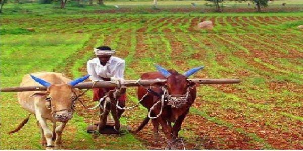 अखंड संवाद 17 को, गौ आधारित प्राकृतिक खेती की अलख जगाएगा