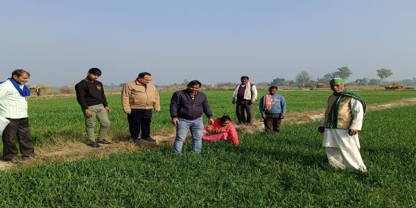 बदलती हुई जलवायु को भी सहन कर सकती है गेहूं की फसल: डॉ. राजेश राय