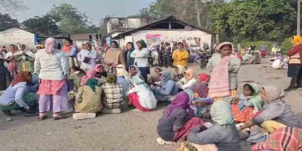 अलीपुरद्वार में एक और चाय बागान पर लगा ताला, साल की शुरुआत में 1300 कर्मचारी हुए बेरोजगार