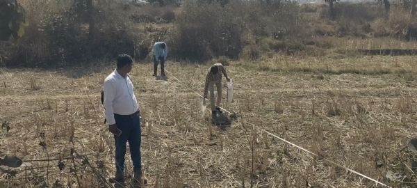 चुनाव डालकर चिन्हित करते कर्मचारी