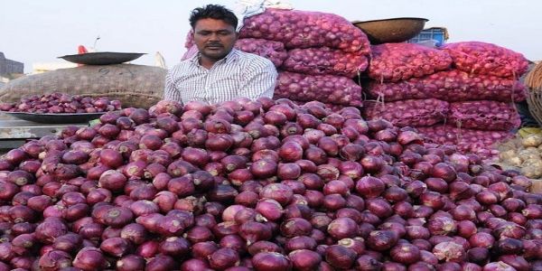 किसानों के विरोध के एक दिन बाद नासिक के लासलगांव बाजार में प्याज की नीलामी शुरू