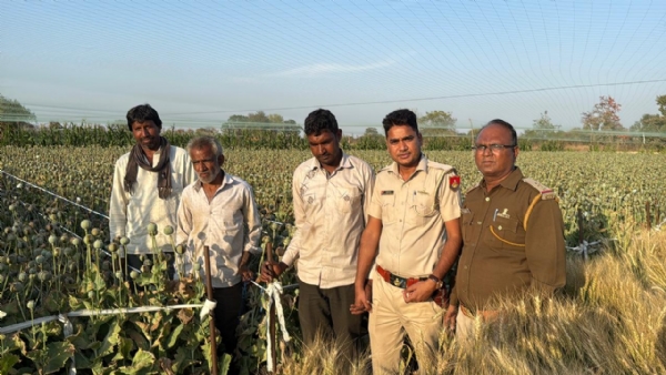 चित्तौड़गढ़ में नारकोटिक्स की टीम ने अवैध अफीम बुवाई का मामला पकड़ा।